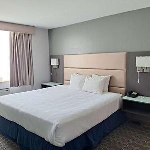 Executive King Room